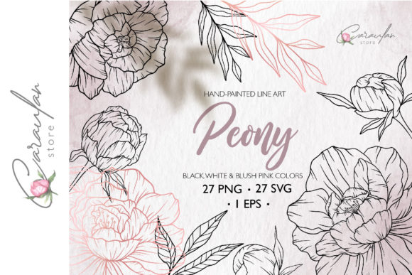 Download Peonies Line Drawing, Floral Line Art - Premium Resources